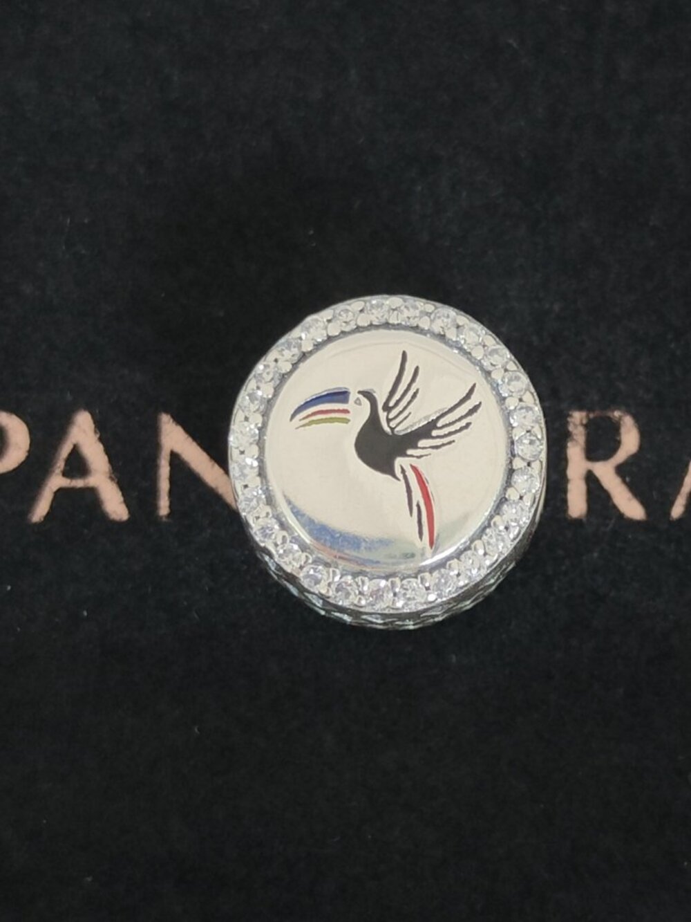 Pandora Belize Birding Bead Charm Exclusive Bracelet Pendant S925 Silver